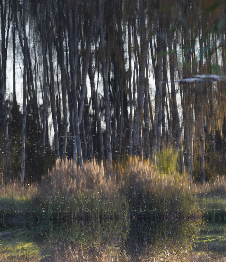 "Очень страшно, мы не знаем что это такое, ...