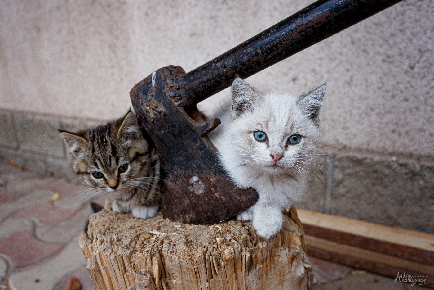 Зароем топор войны