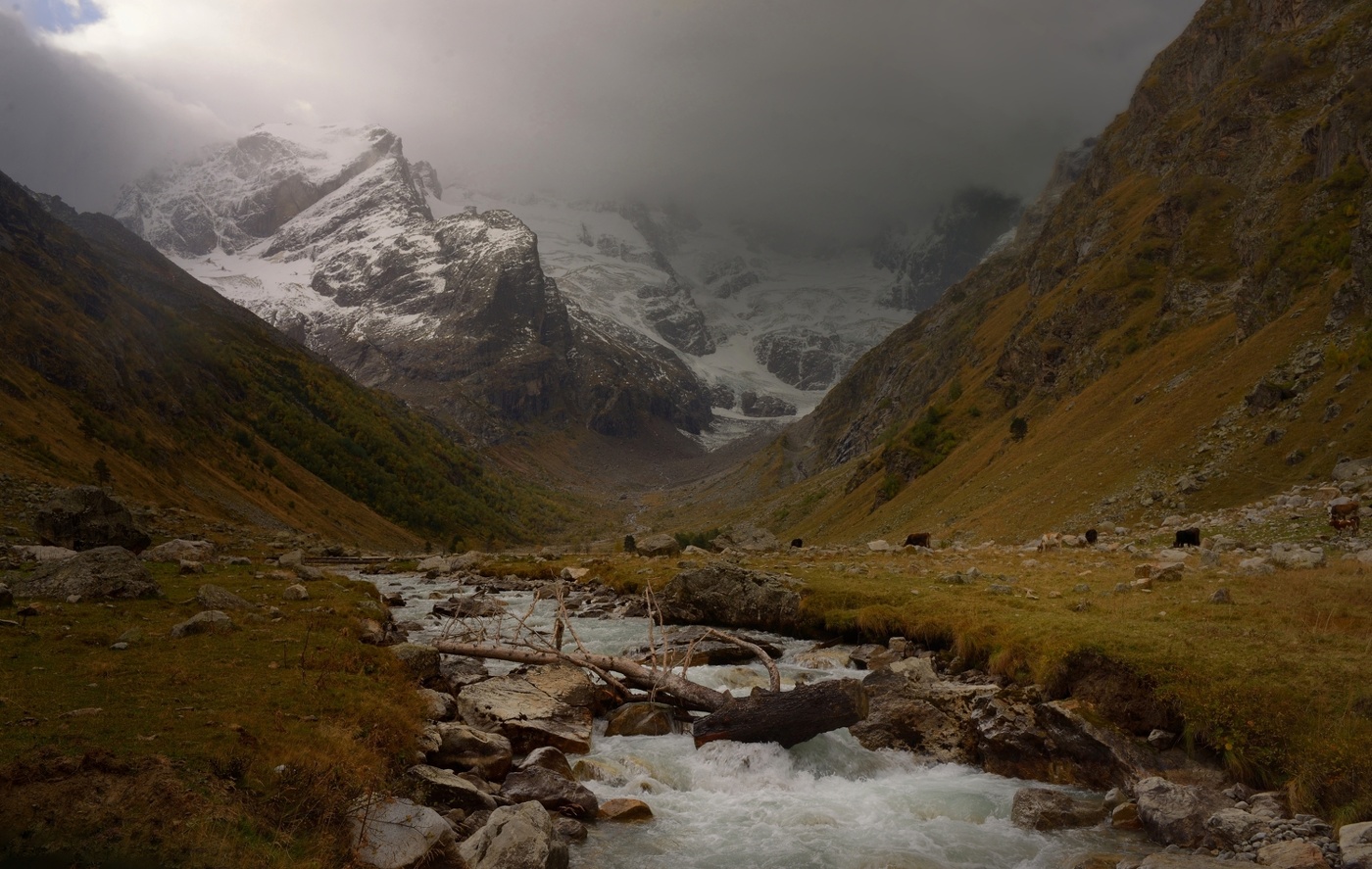 Уходила осень