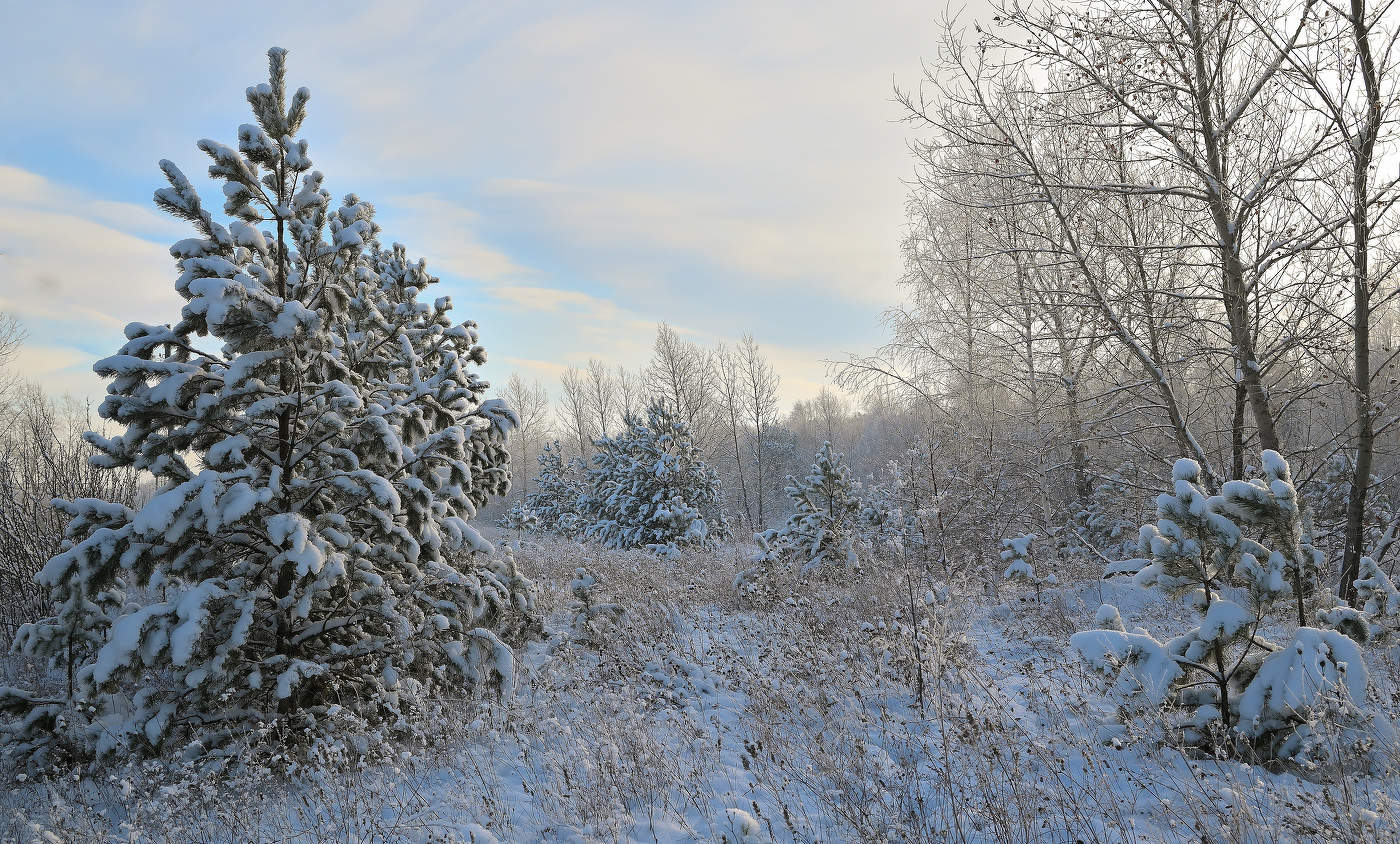 Зимняя зарисовка.