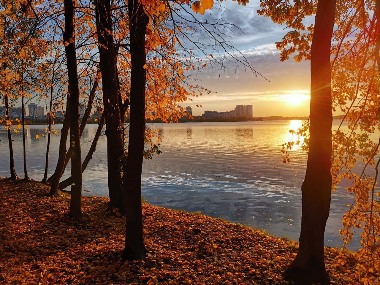 In Erinnerung an die Herbst