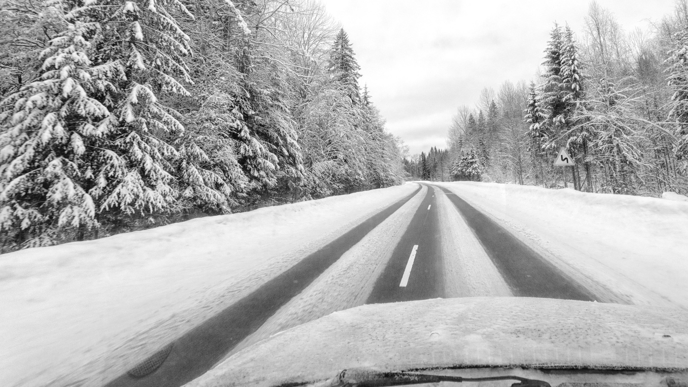 Жизнь вокруг