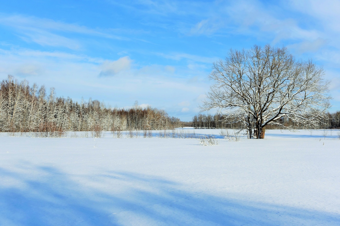 Безмятежный пейзаж ...