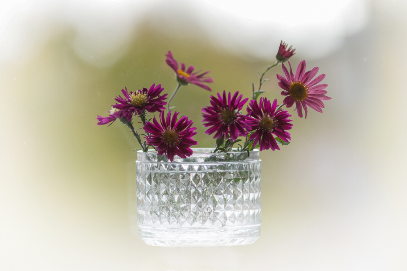 Осенний свет...игра...прозрачность...