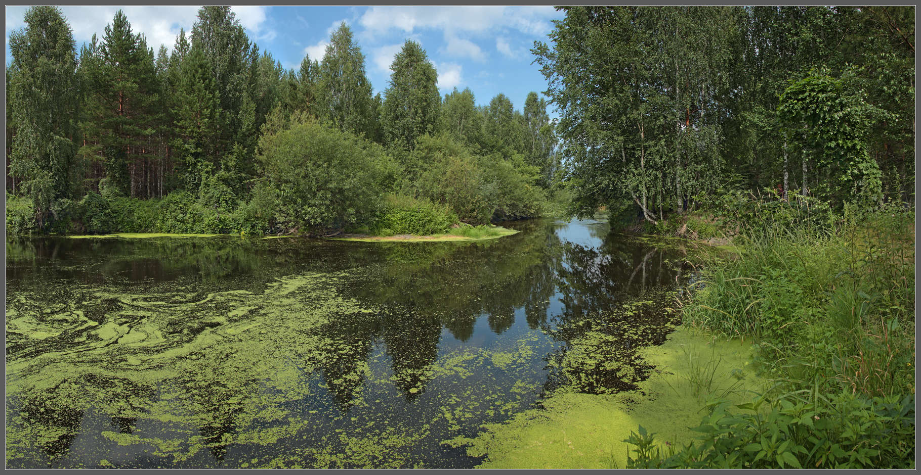 Вспоминая лето