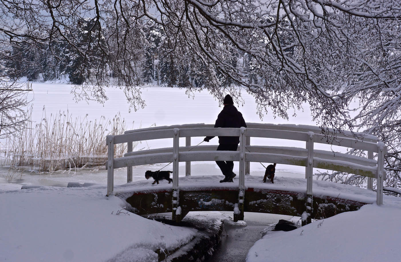 По горбатому мостику