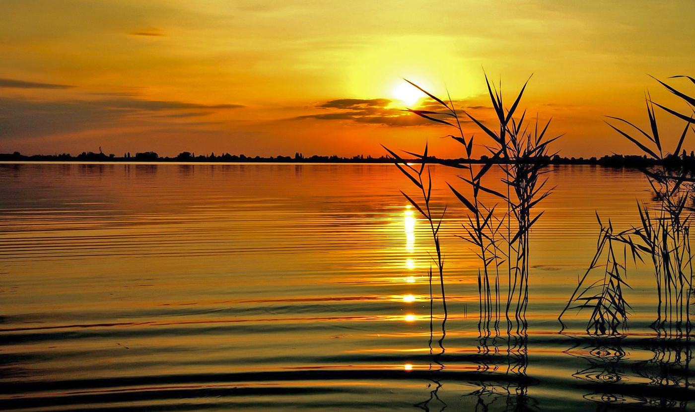 Волжские затоны.
