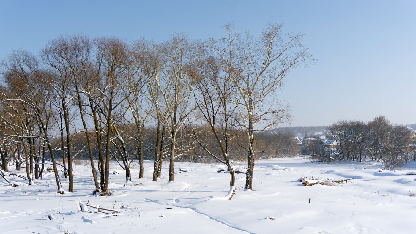 Февральский день. Пока зима ещё хозяйка...