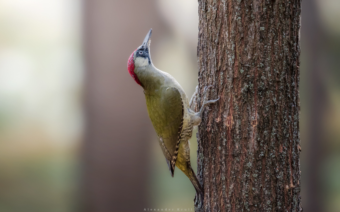 Удобная поза