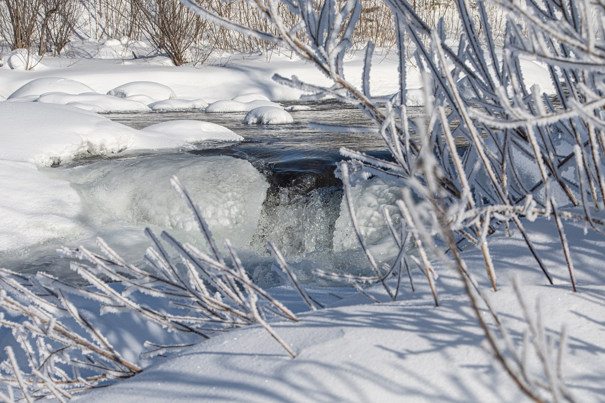 У Перекатов