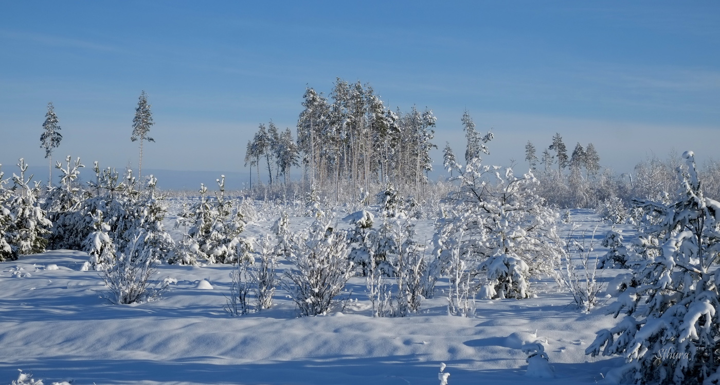 Зимний день.