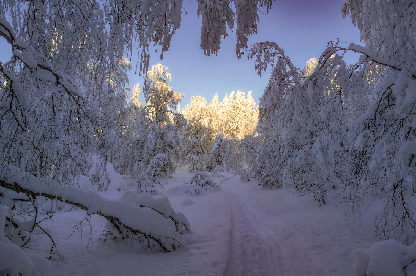 Путь к свету