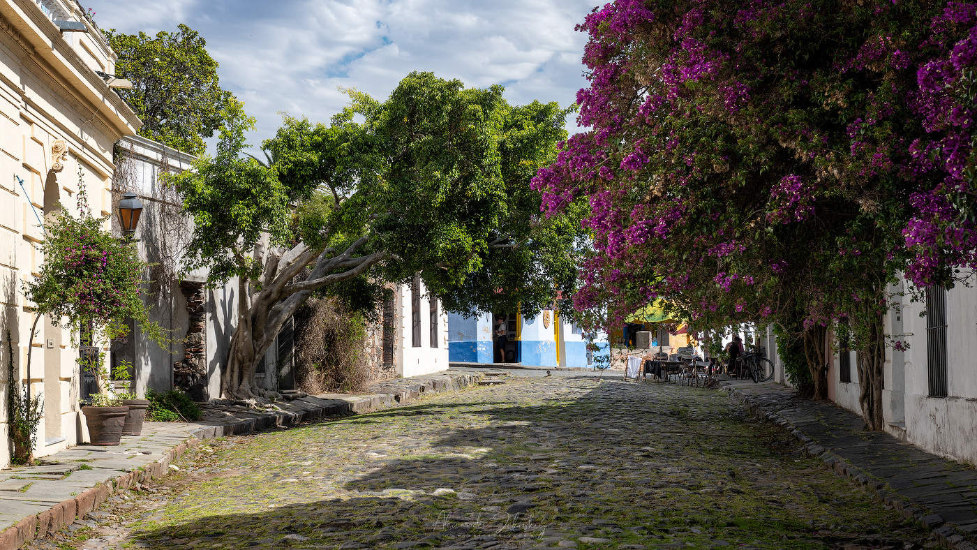 Кафе на тихой улочке