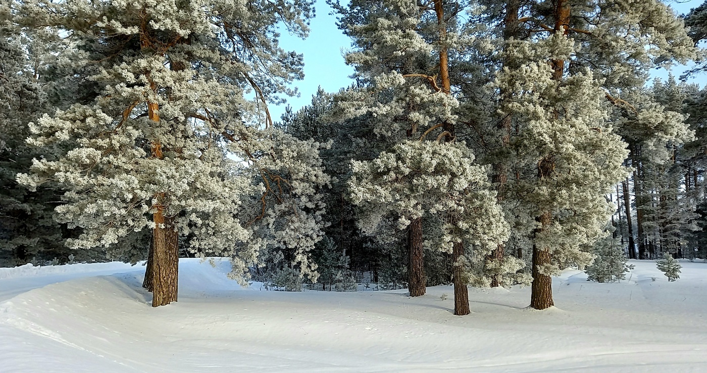 в конце зимы