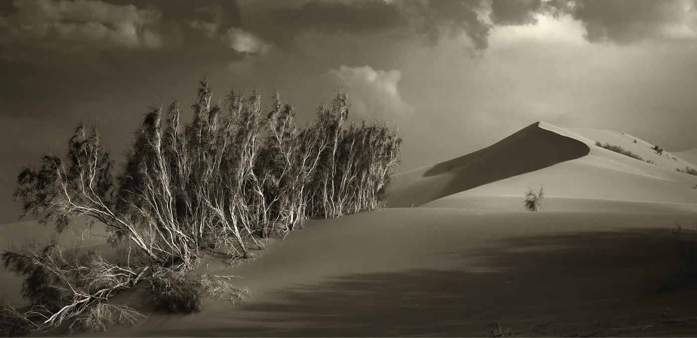 "Идущие к свету"