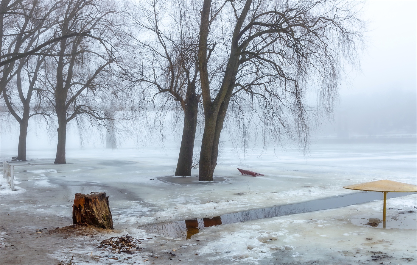 ТУМАНЫ ЗИМНИЕ КОЧУЮТ...