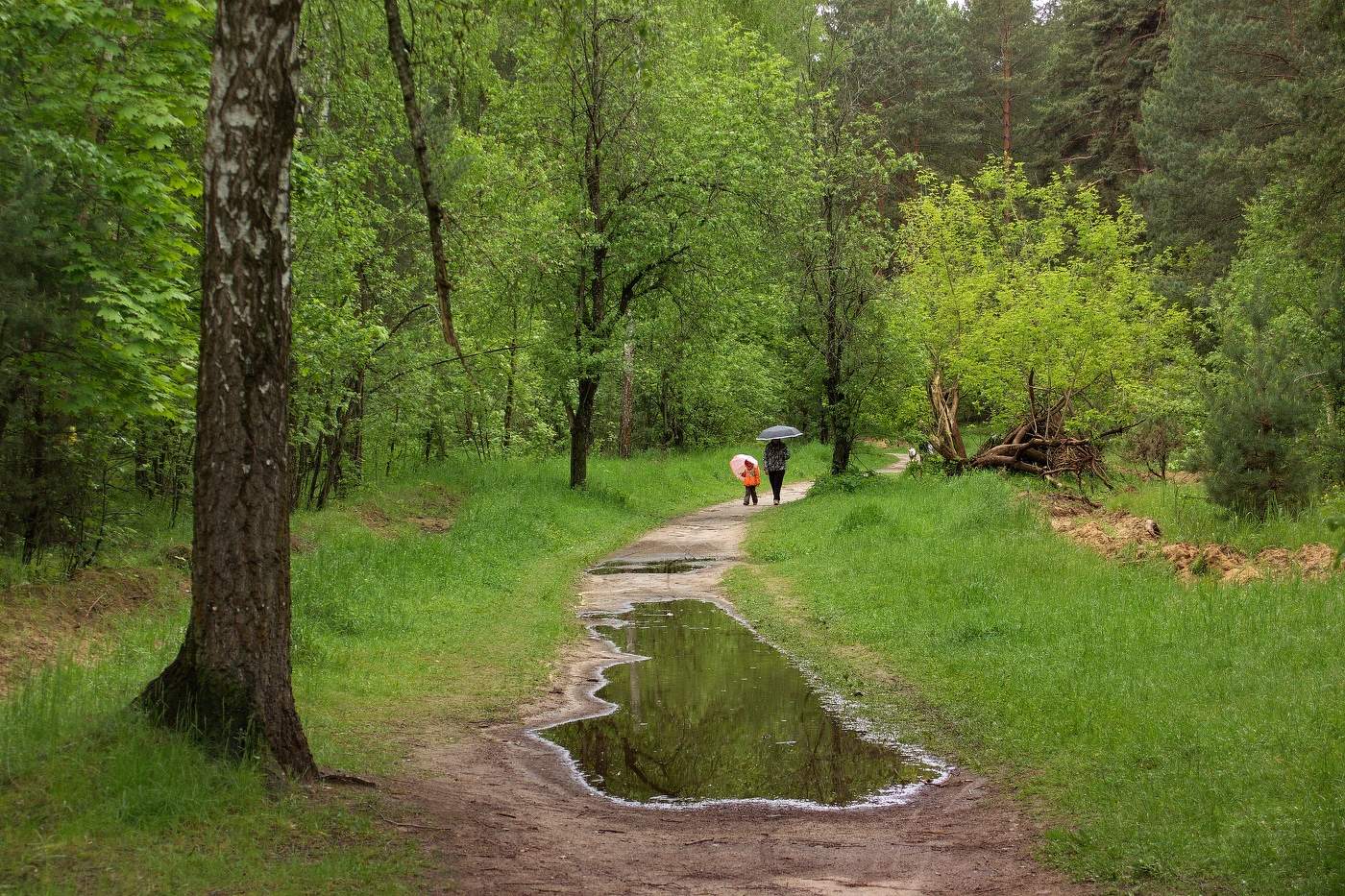 Весенний сюжет