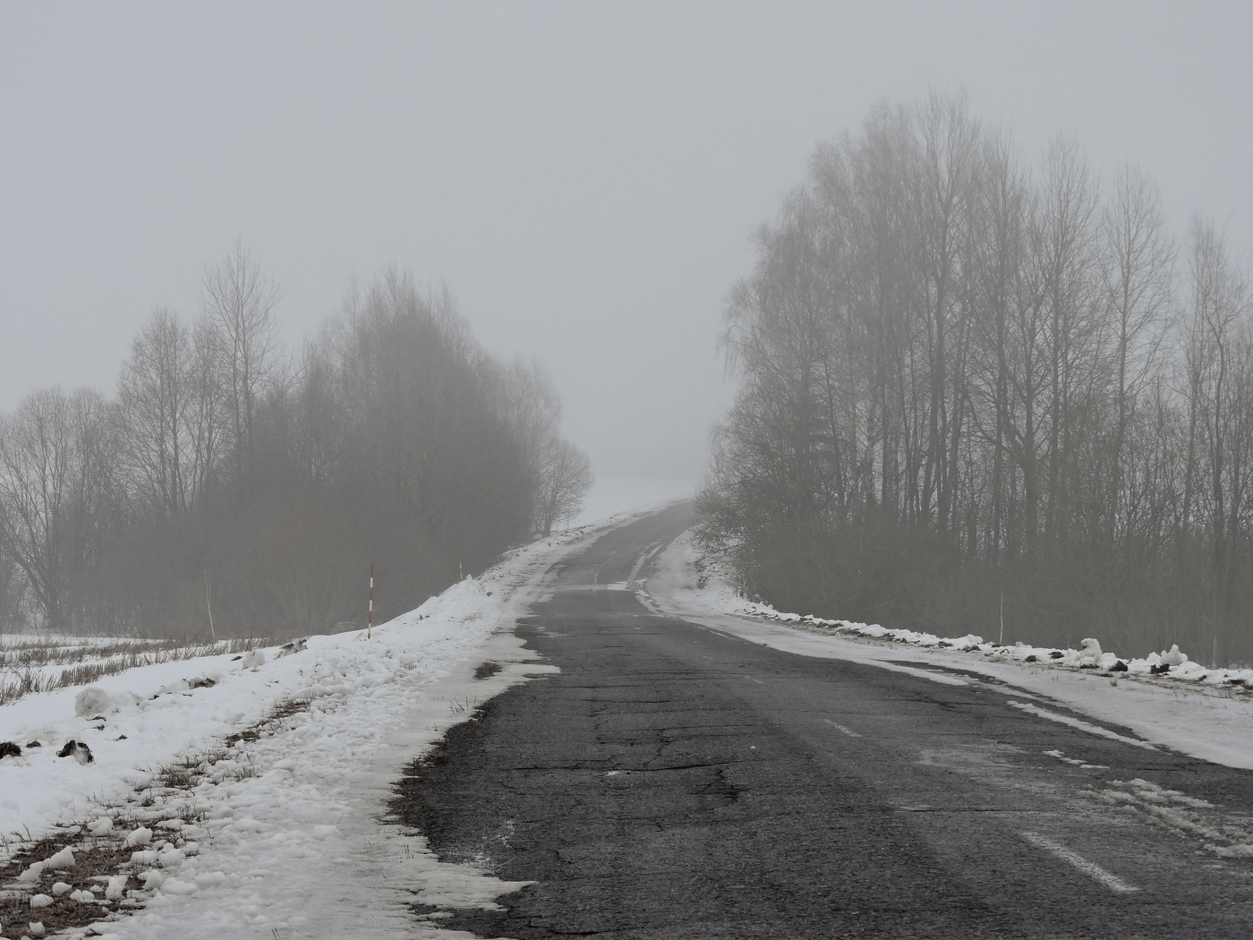 Туманные деньки