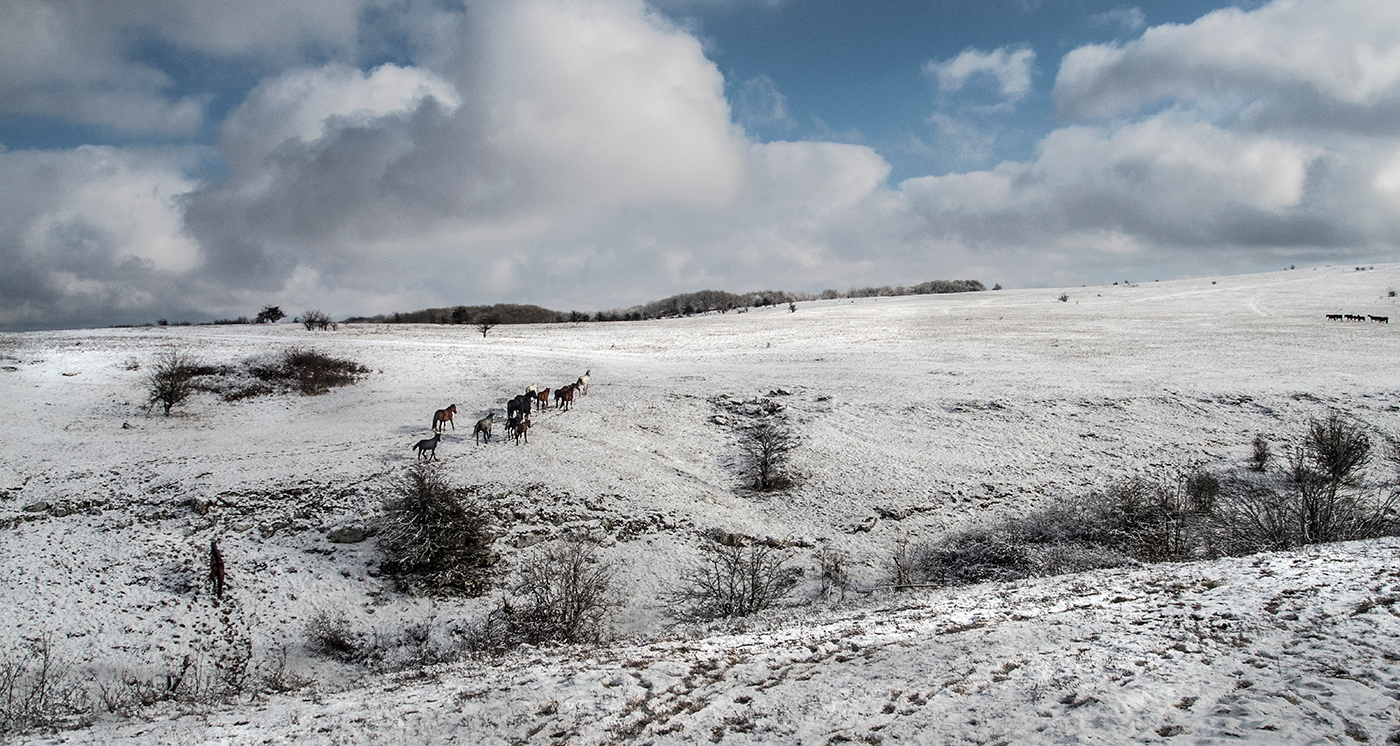 Распадки яйлы