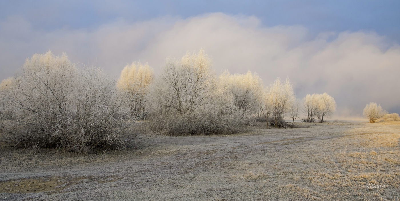 На рассвете.