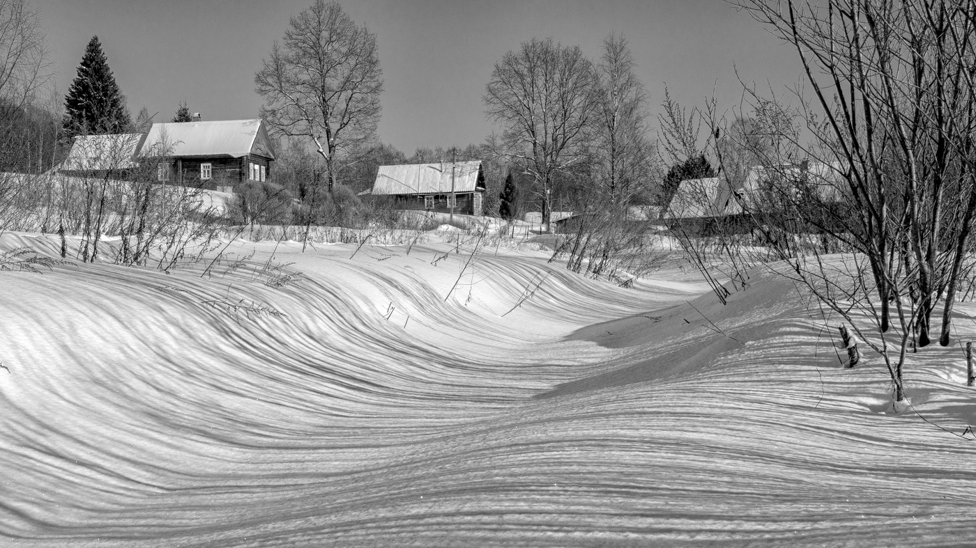 Жизнь вокруг