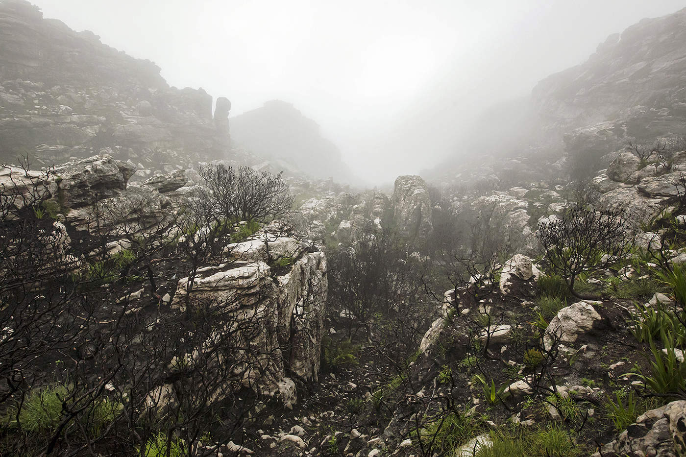 Неуютная планета