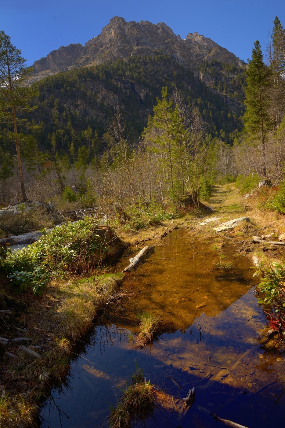 Весна в горах