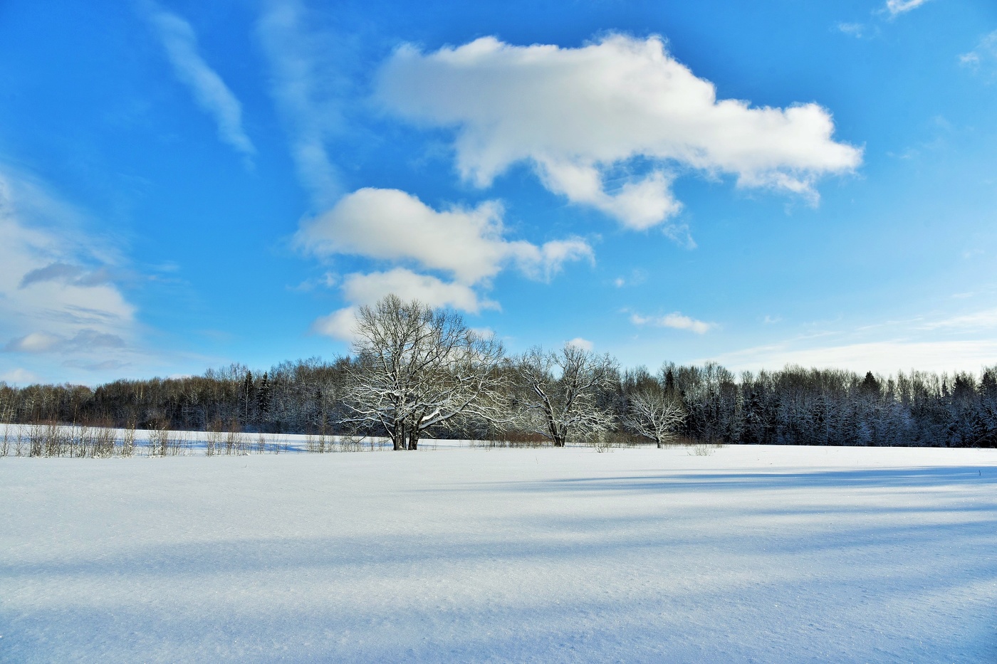 В небе тихо дремлют облака ...