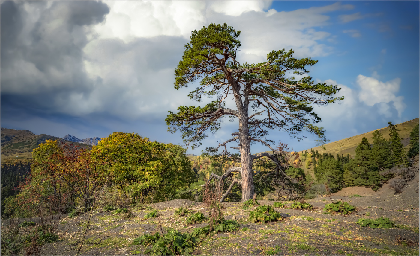 На семи ветрах