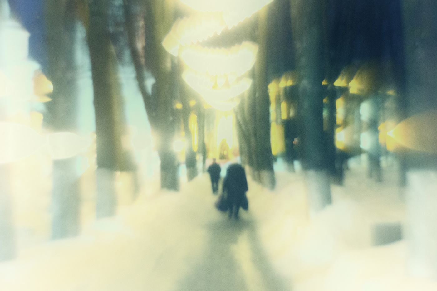 Вечерняя тропа