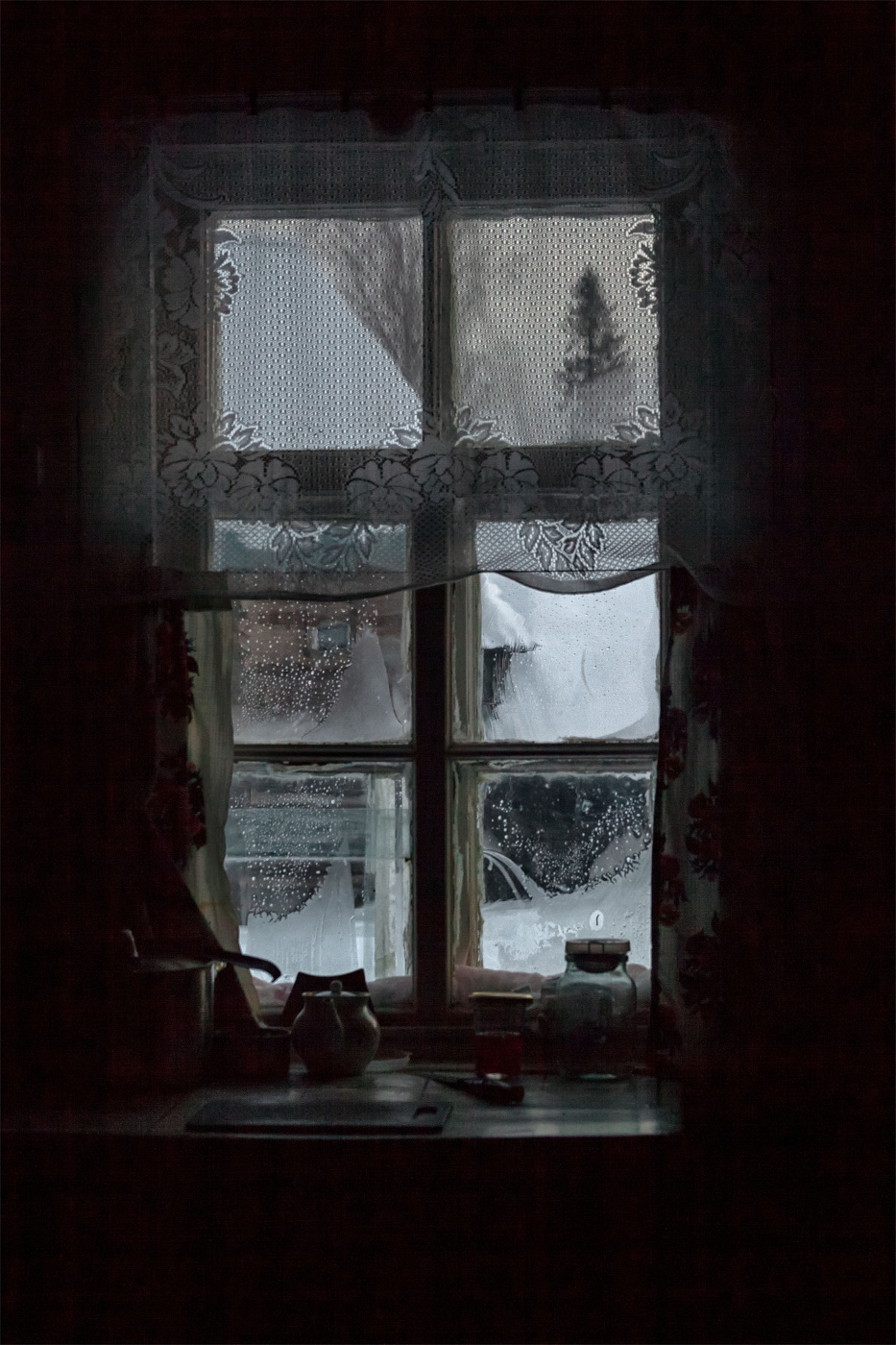 Жизнь вокруг