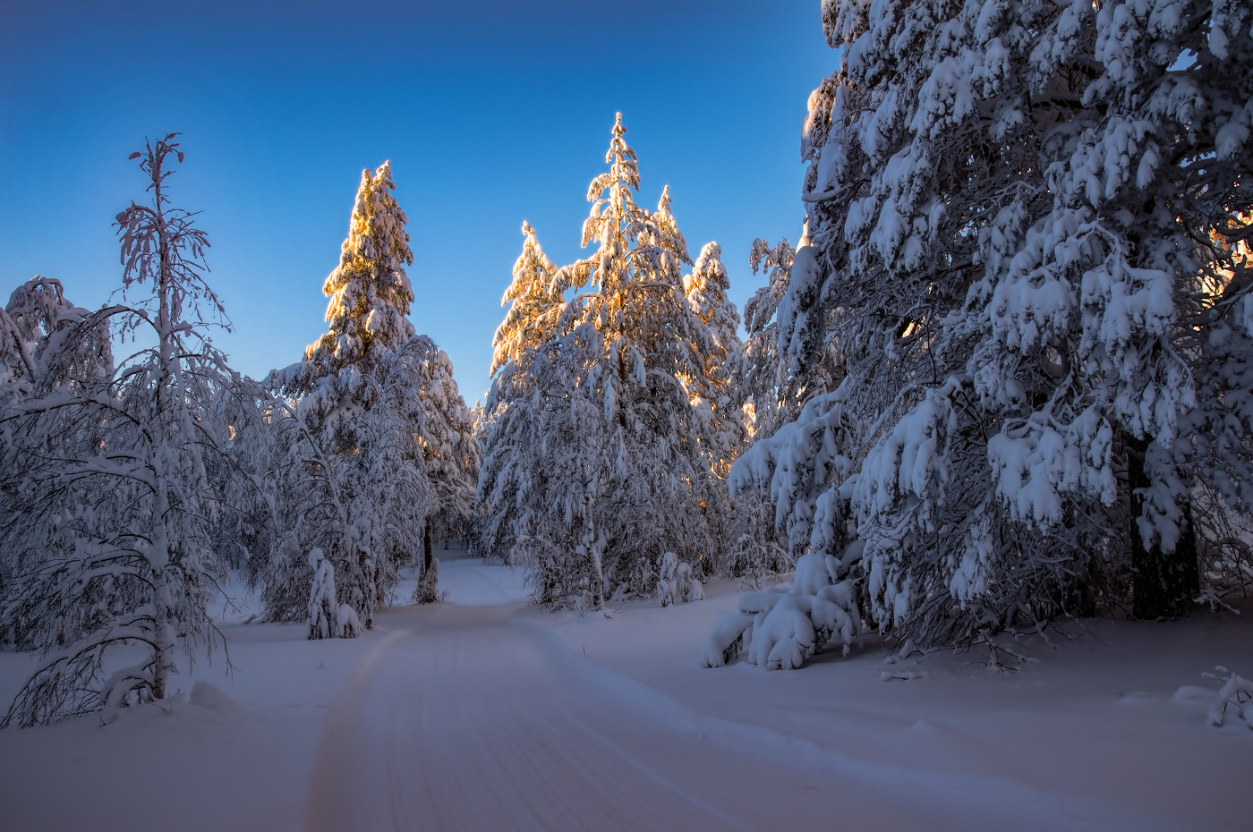 Вечерняя трасса