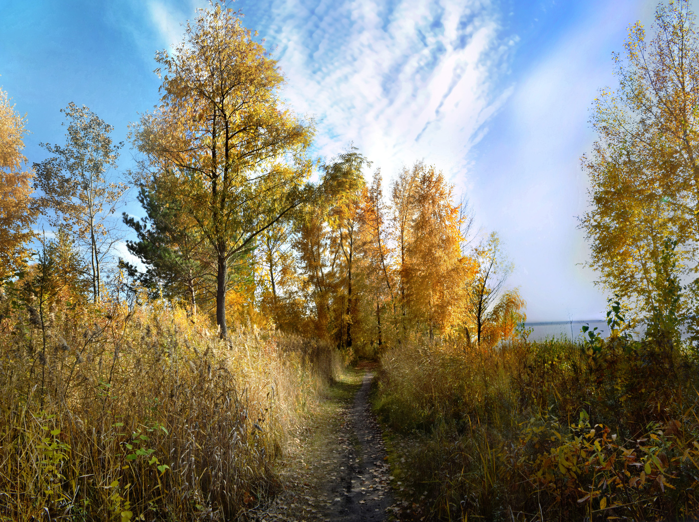 Дорожка у моря