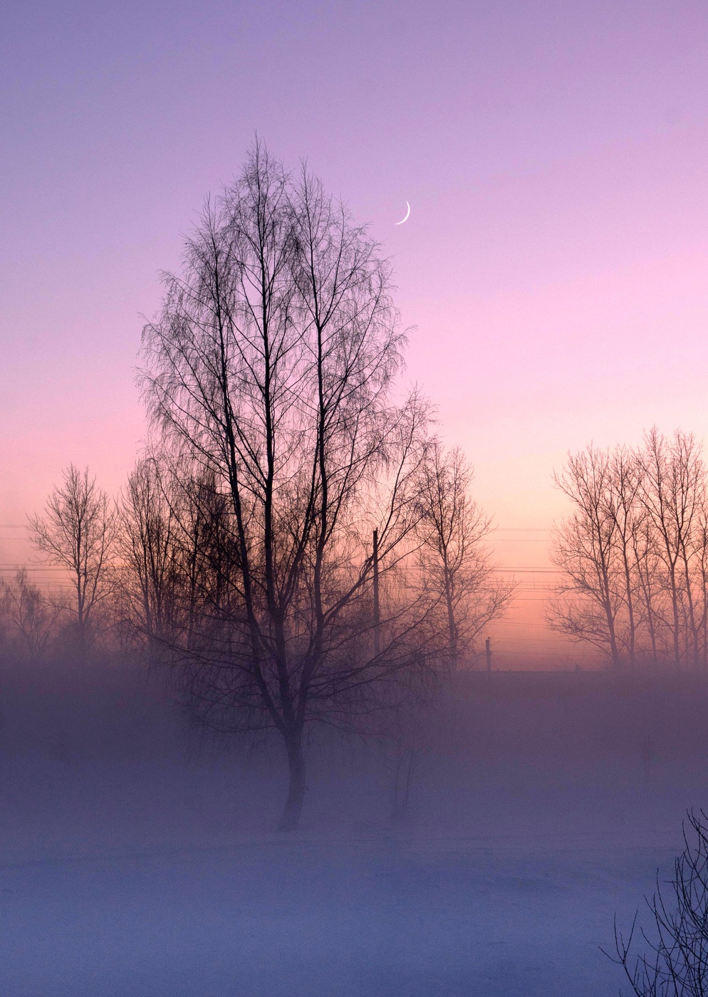 Молодая луна