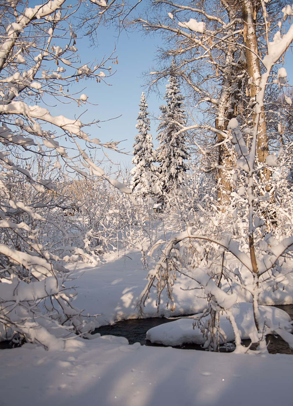 В снежном плену