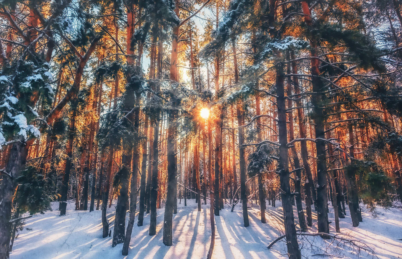 Февральское солнце.