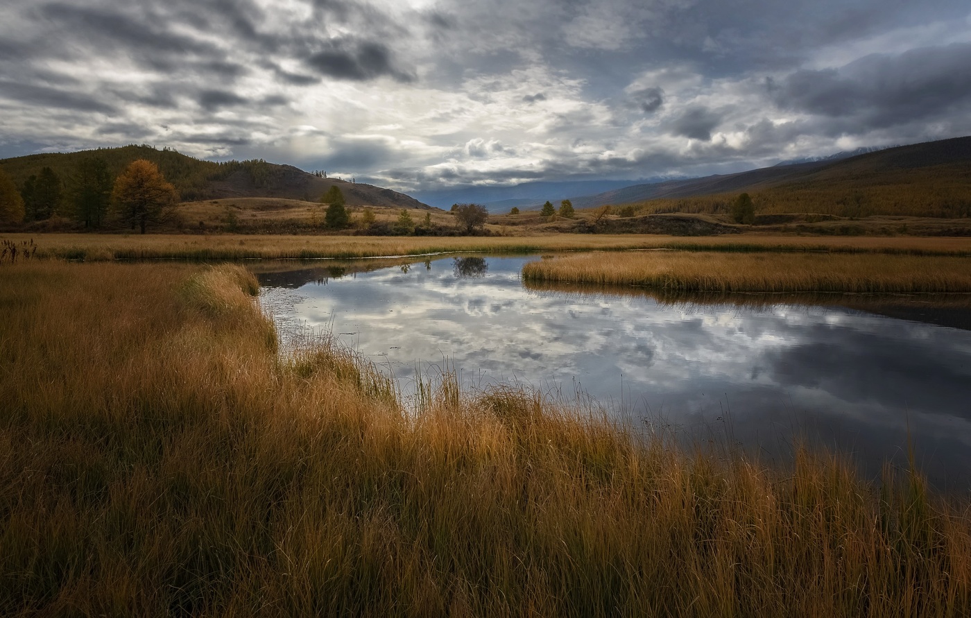 После дождя