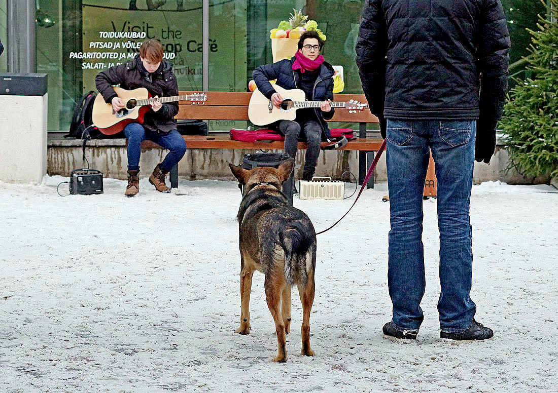 Концерт по заявкам