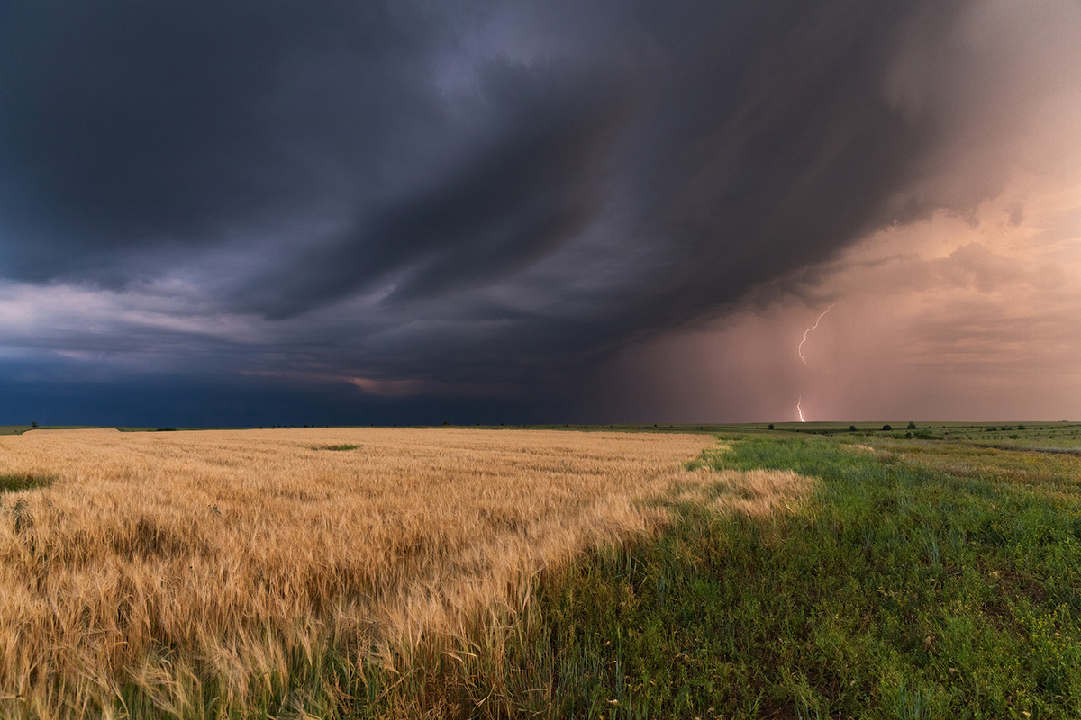 Степь грозовая