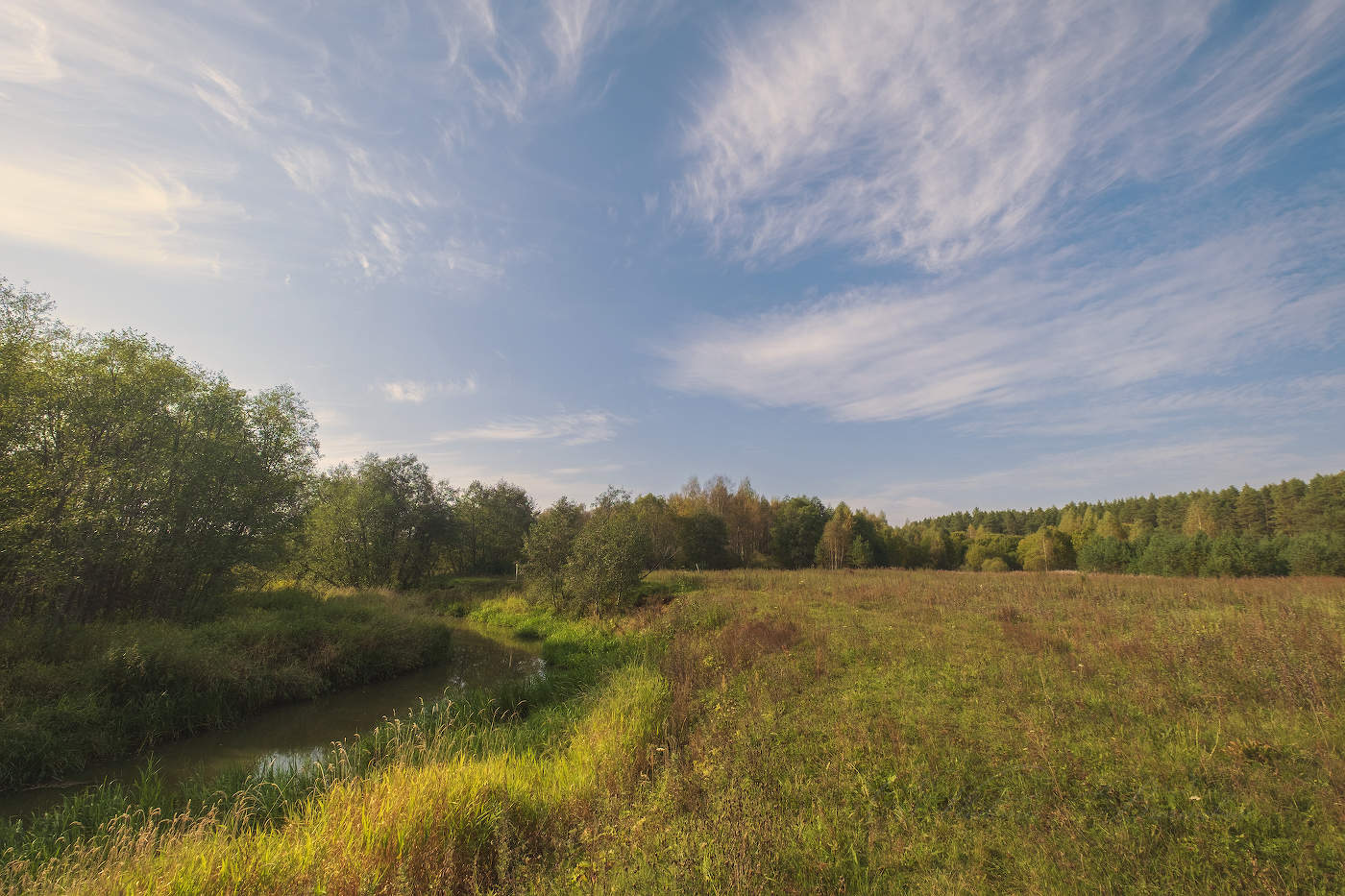Осенний этюд