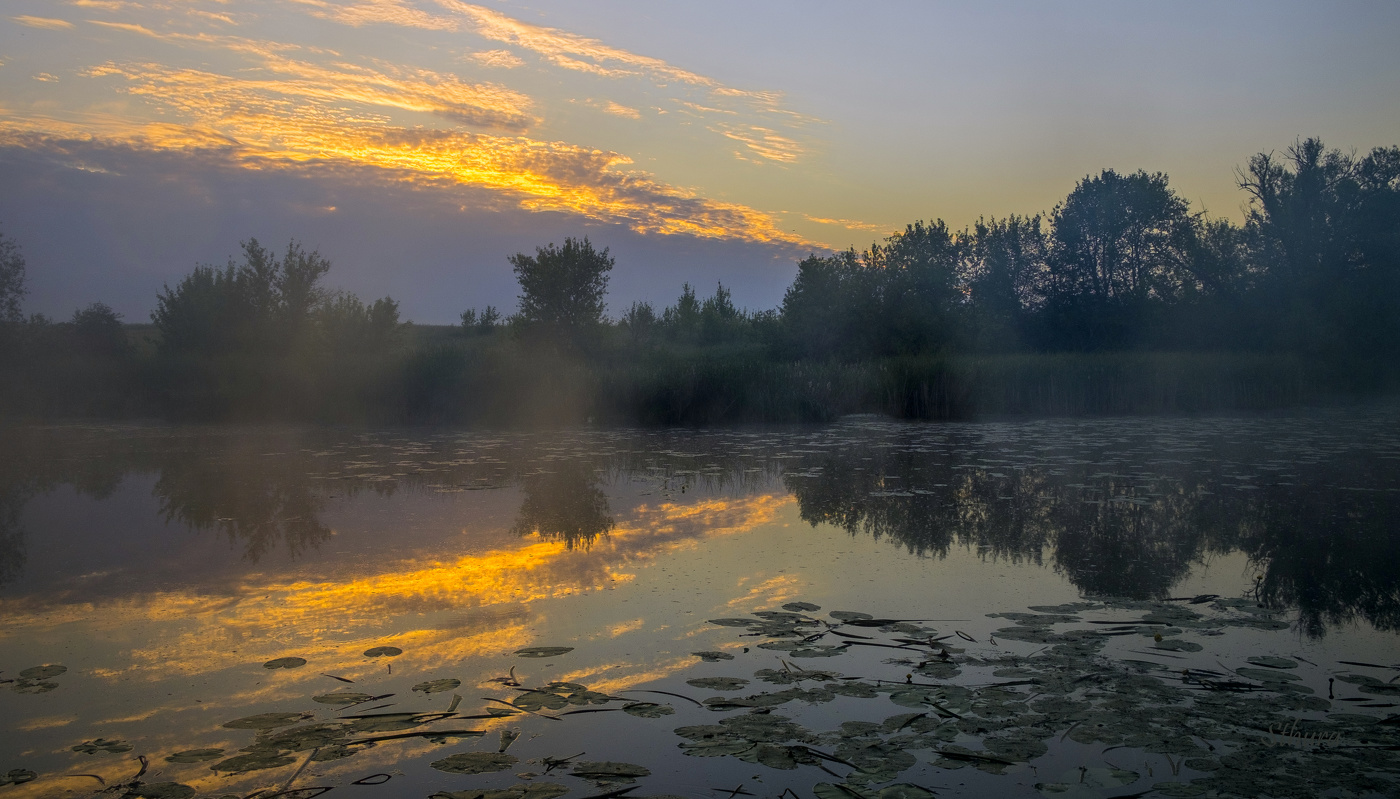 На утренней заре.