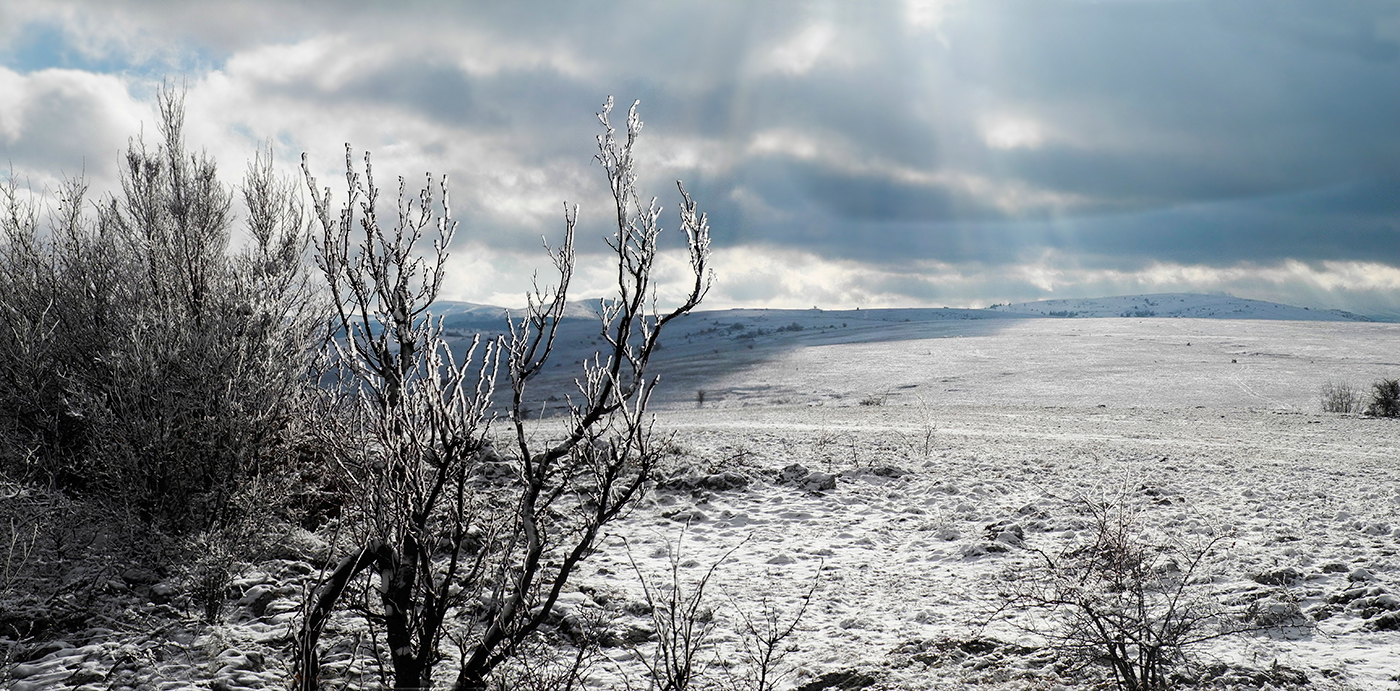 Вечерний этюд