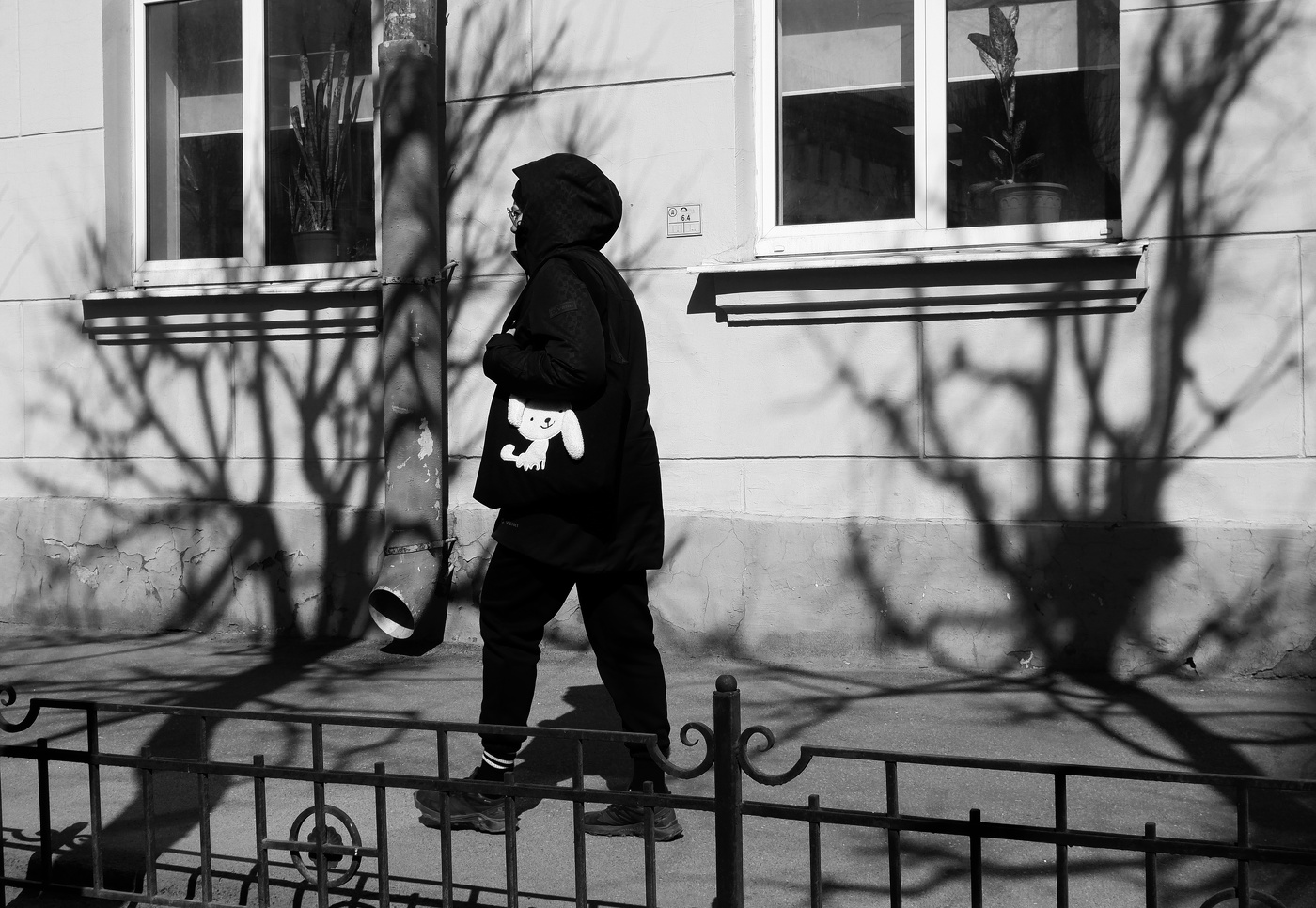 Белая собачка