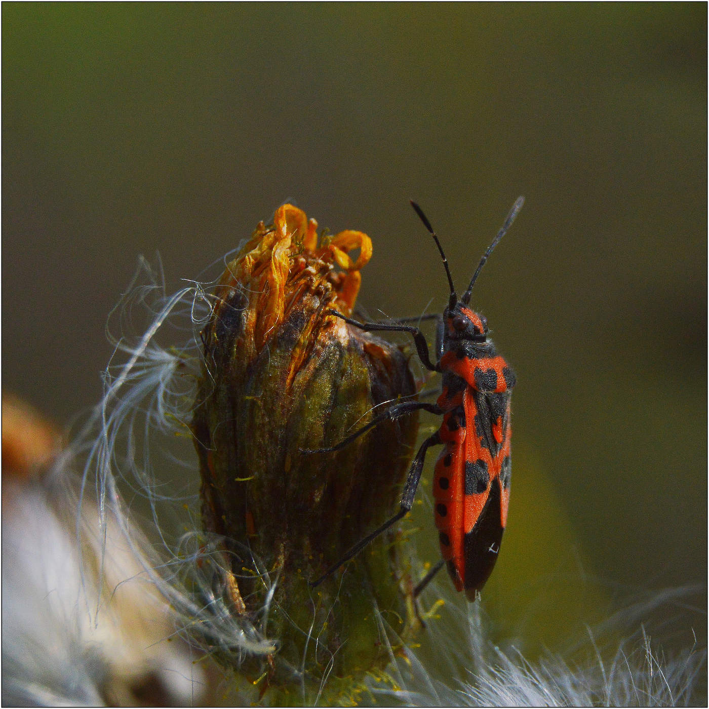 Время тишины и покоя.