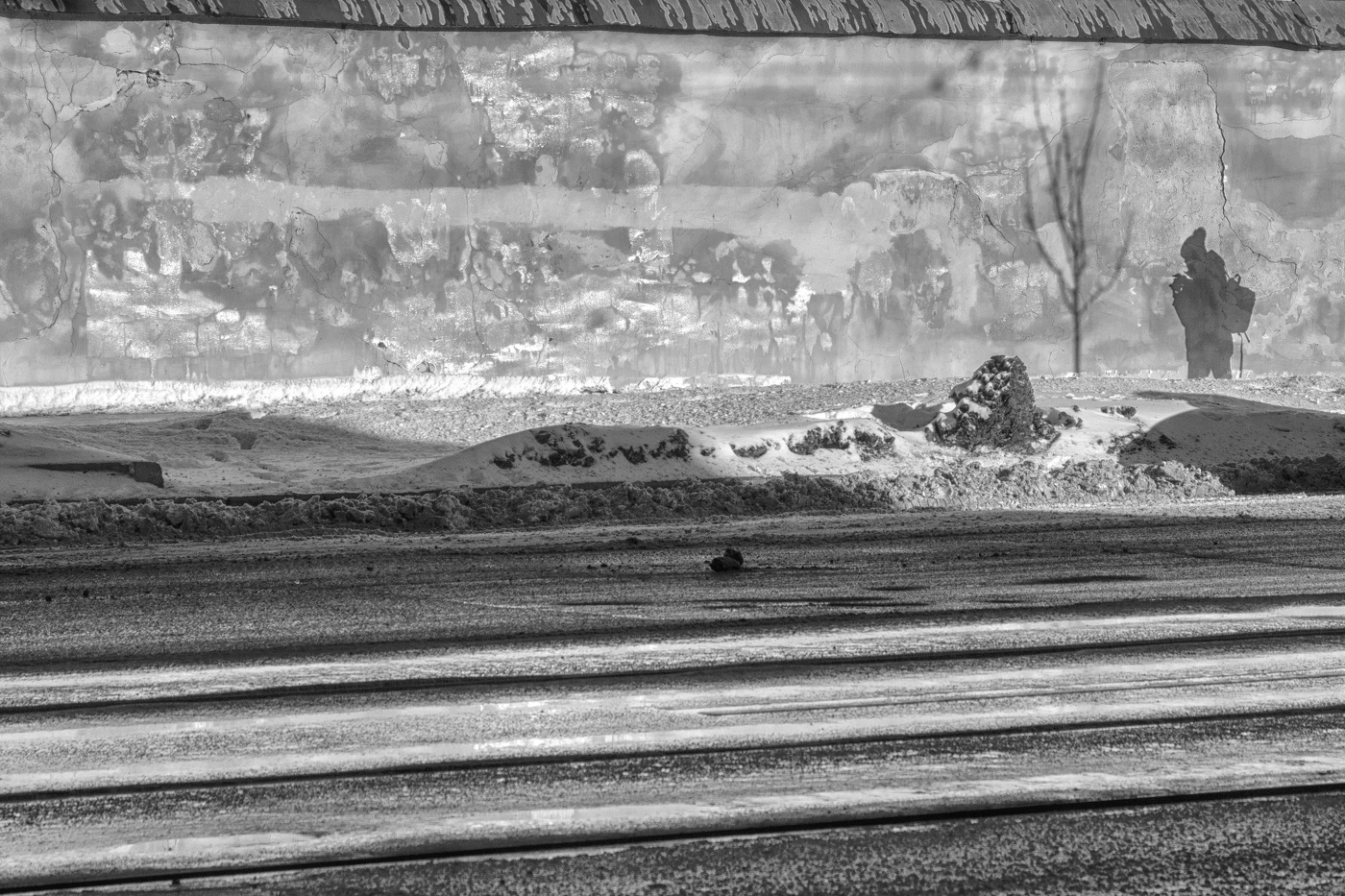 Жизнь вокруг