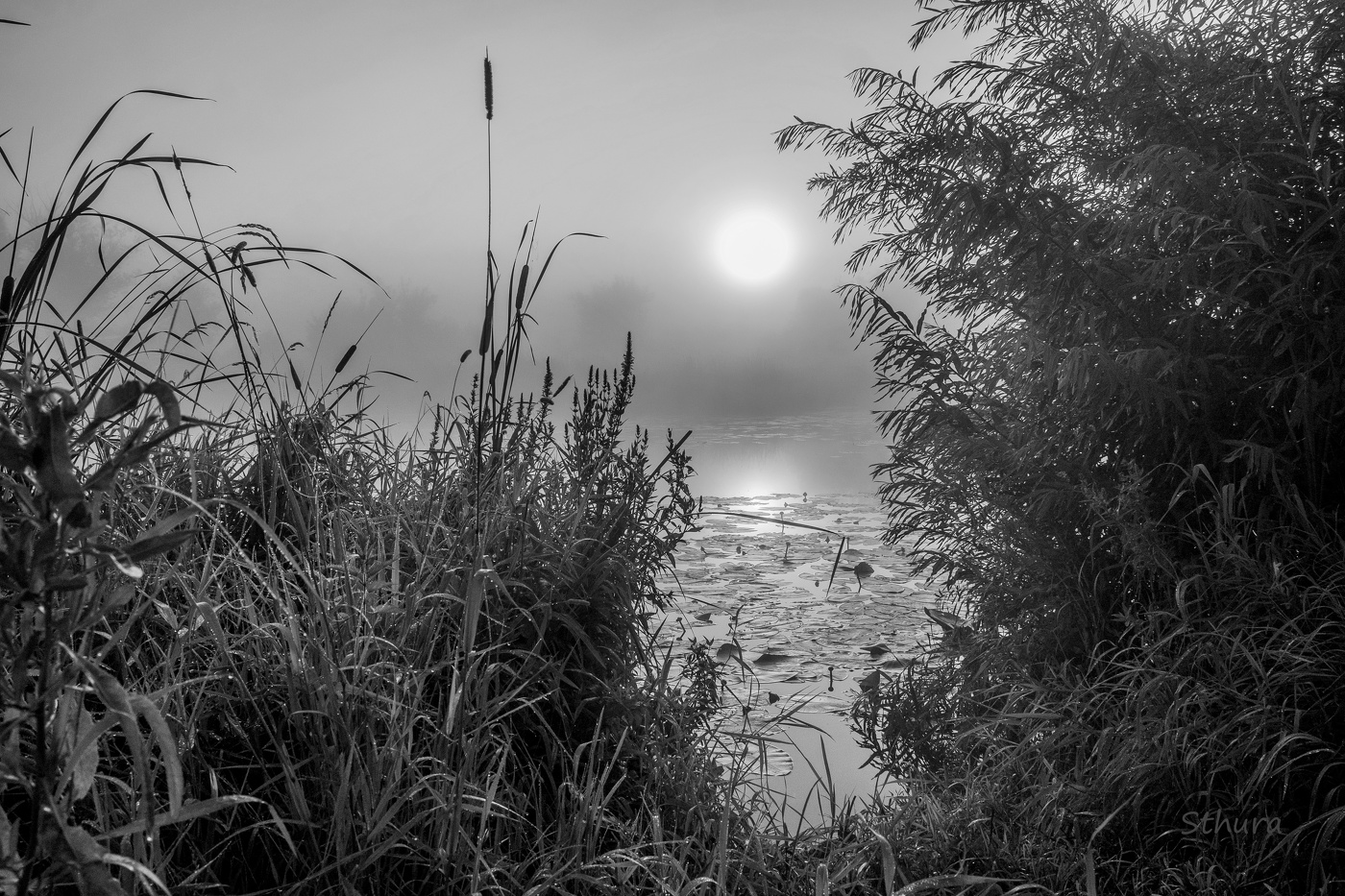 Летний рассвет.