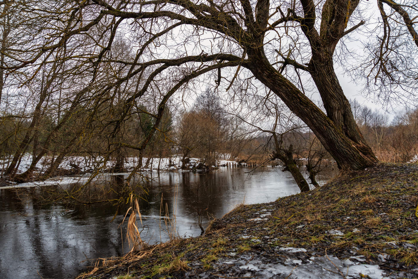 Февральский дождь