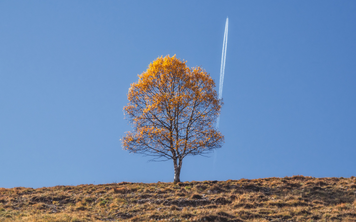 Осенний рейс