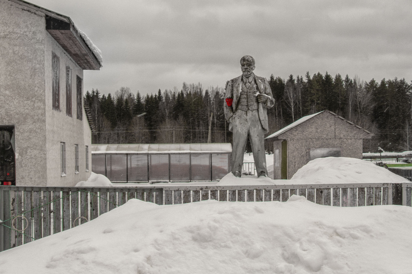 Жизнь вокруг