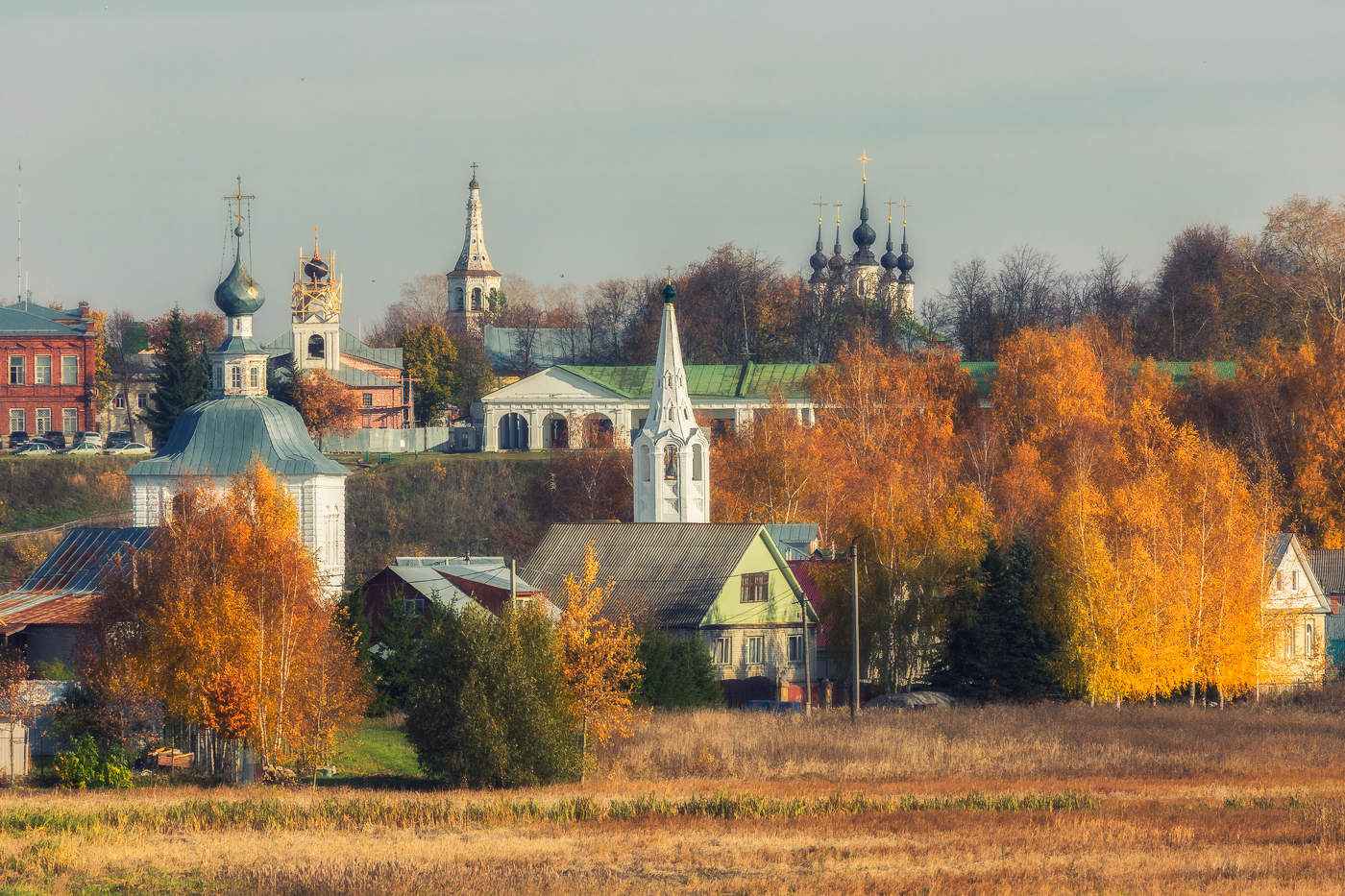 Шатроволуковичное